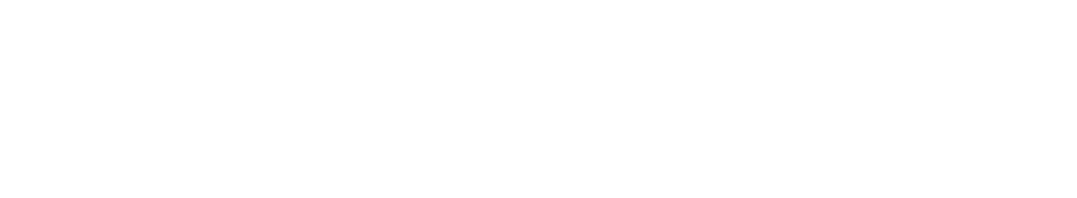 logo dix